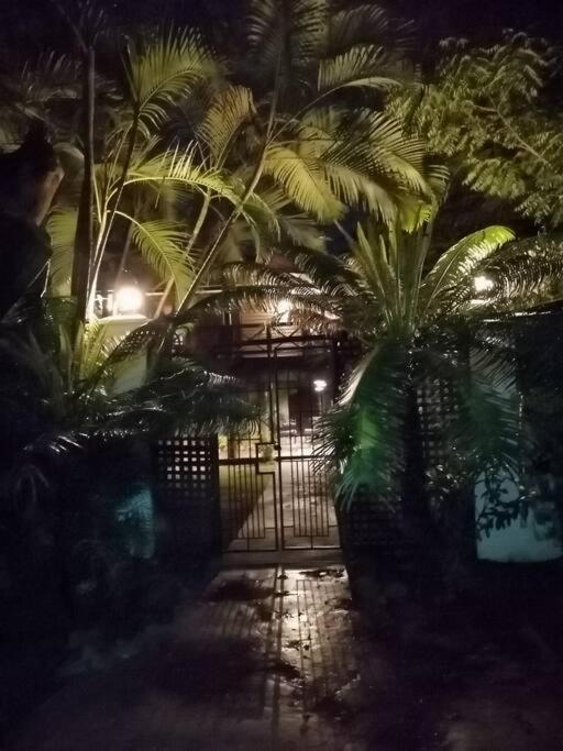 Private Nasoso 4 Bedroom House 楠迪 外观 照片