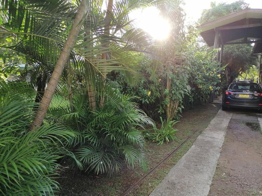 Private Nasoso 4 Bedroom House 楠迪 外观 照片